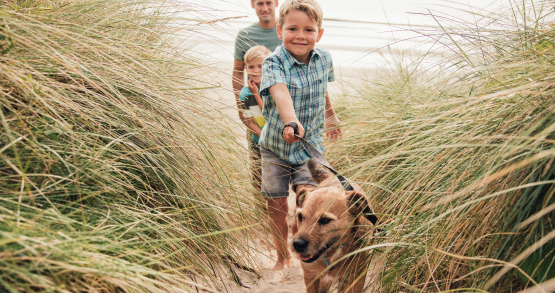 a family taking their dog on a walk