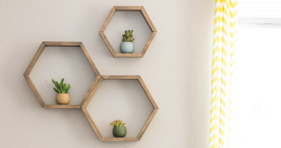 plants on hexagon shelves